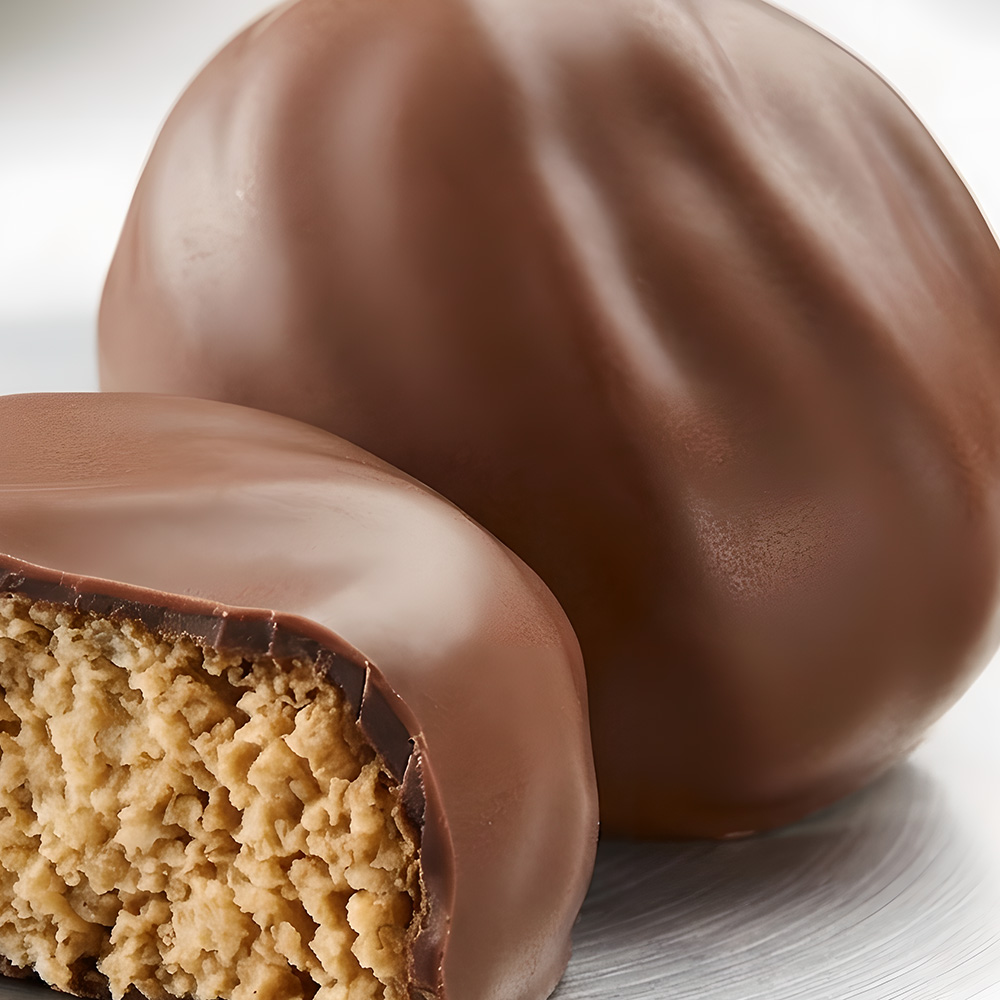 Chocolate-Covered Cookie Illustration